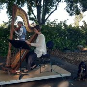 concert osm covid harpe violon lerchenberg