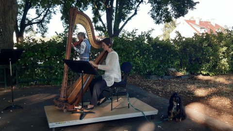 concert osm covid harpe violon lerchenberg