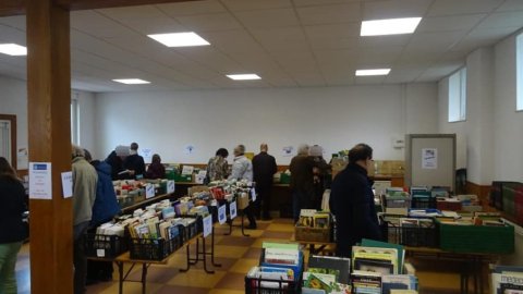 printemps livre bourse festival lerch