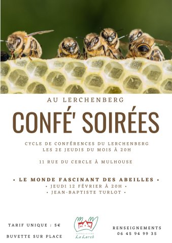 conférence confésoirées culture lerchenberg abeille apiculture
